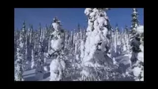 Снежный пейзаж. Сергей Чекалин. Snowy landscape. Sergey Chekalin