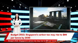 Budget 2022: Singapore's carbon tax may rise to $80 per tonne by 2030