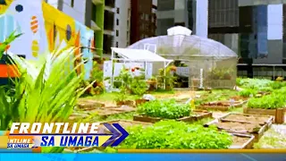 Urban garden, matatagpuan sa gitna ng BGC at Taguig