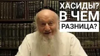 В чем различия философии Любавичских, Сатмарских, Гурских Хасидов? (27.09.2019)