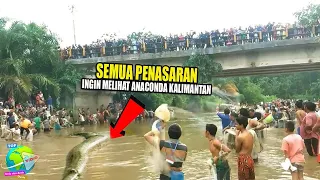 Warga Gempar!! Penampakan Ular Raksasa di Sungai Kalimantan Sebesar ANACONDA Hingga Tertangkap Warga