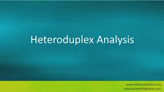 Pronunciation of the word(s) "Heteroduplex Analysis".