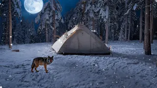 SNOW CAMPING WITH MY INFLATABLE TENT IN THE WOLVES AREA