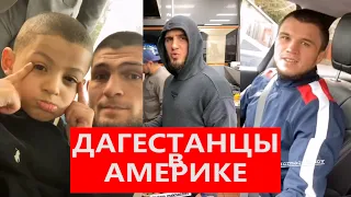 Дагестанцы в Америке Хабиб Нурмагомедов Dagestanis in America Хабиб Гейджи UFC 254 Khabib vs Gaethje