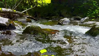 Relaxing mountain river with healing natural sound.