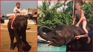 Elephant saves 8-year-old girl from tsunami