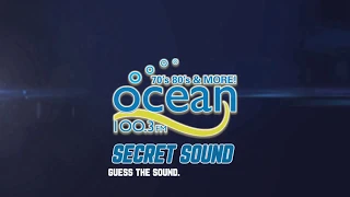 Secret Sound 1 Reveal