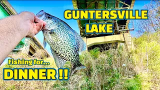 CRAPPIE FISHING for DINNER at GUNTERSVILLE LAKE on the TENNESSEE RIVER !!
