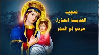 تمجيد القديسة العذراء مريم ام النور