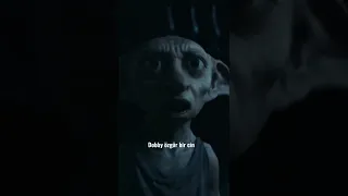 Dobby is a Free Elf || Another Love Edit Türkçe Çeviri #harrypotter #harrypotteredit #dobby