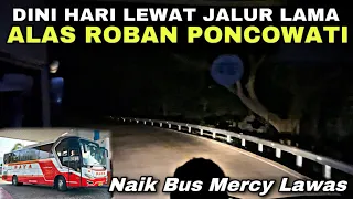 Dini Hari Lewat Jalur Lama ALAS ROBAN PONCOWATI Naik Bus Mercy Lawas Istimewa ❗️| trip Raya 333