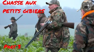 Chasse aux perdreaux et faisans dans la Somme part 3