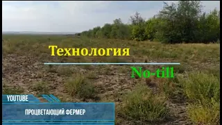 Озимая рожь 2021 технология No-til