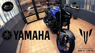 YAMAHA MT-03 2021 - EL MEJOR DISEÑO EN SU CILINDRADA - Análisis / Primeras Impresiones