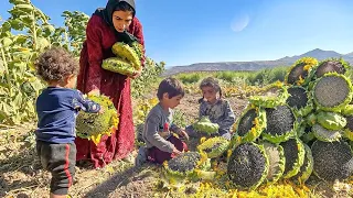 🌻 Resilient Mother: Harvesting Sunflowers for a Better Tomorrow 🌻