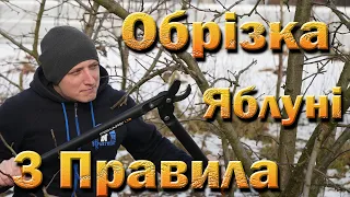 Обрізка дорослої яблуні 2023. Три правила, обрізки яблуні. Обрізка середньорослої яблуні