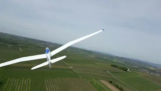 Musger Segler im Flug - Drohnenaufnahme DJI Mini 3 Pro - MFFM Stadecken-Elsheim