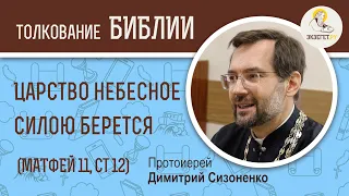 Царство Небесное силою берется (Матфей 11:12) Протоиерей Дмитрий Сизоненко. Толкование Нового Завета