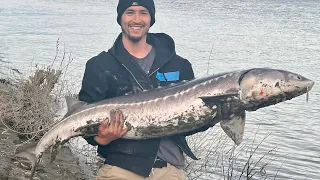 Sacramento River Sturgeon/Striper Fishing Tips And Tricks