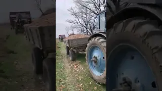 Пробка из тракторов 🚜🚜🚜