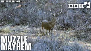 Muzzleloader Mayhem | Deer & Deer Hunting TV