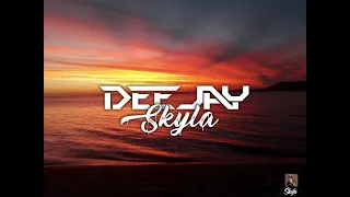 Skyla x Nesly ft Bramsito tou lé jou [ZOUKREMIX] 2022