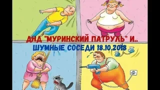 ДНД "Муринский патруль" и шумные соседи 18.10.2018