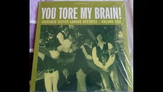 Various - You Tore My Brain! Unissued Sixties Garage Acetates Vol 5 (Full Album Vinyl 2010)