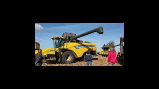 Koszenie kukurydzy na ziarno maszynami NEW HOLLAND