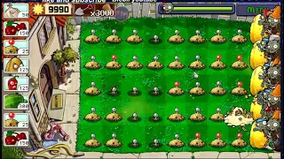 Plants vs zombies last stand 2