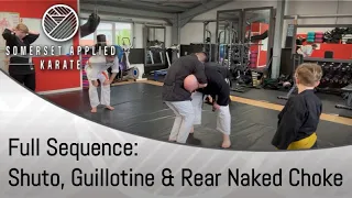 Full Sequence: Shuto, Guillotine & Rear Naked Choke