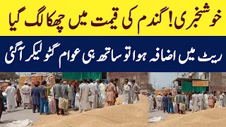 AJ Gundam ki kimat Bhar Gai hai|Today wheat price 2024