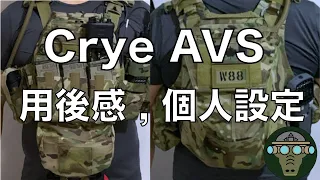 Crye AVS 用後感 , 個人設定