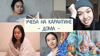 как я учусь на карантине // дистанционное обучение