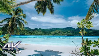 4K Seychelles Island - The Amazing Seychelles Islands In 4k Ultra HD - Part Three