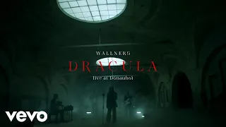 Wallners - Dracula (Live at Donauhof, Vienna / 2021)