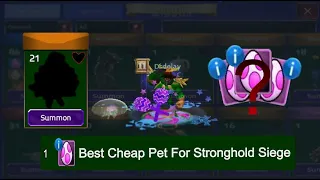 Arcane Legends| Best Cheap Pet For Stronghold Siege Event!