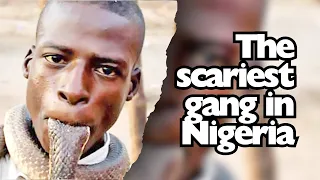 The most terrifying gang in Africa 🙀