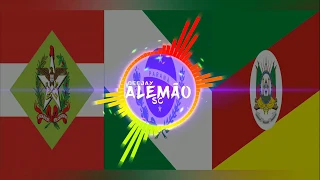 MEGA GAÚCHO - DO FUNDO DA GROTA REMIX (DJ ALEMÃO SC)