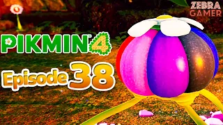 Mysterious Cave! Purple Pikmin Onion! - Pikmin 4 Nintendo Switch Gameplay Walkthrough Part 38