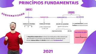 Princípios Fundamentais (revisão completa) - Direito   Constitucional