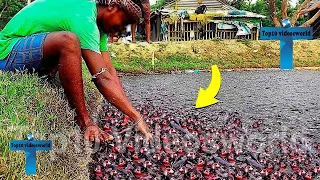 Mind Blowing Moments Caught On Camera #9
