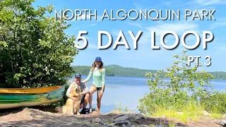 North Algonquin Park 5 Day Canoe Camping Loop, With Our Dog, Campsite Search, Longest Portage Ever