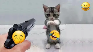 YOU LAUGH YOU LOSE🥰Best Funny Animals Video 2024😽🐶