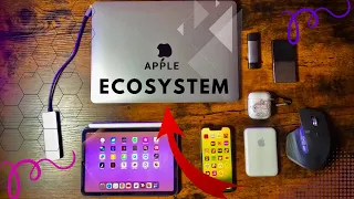 My Budget Friendly Apple Ecosystem in 2024