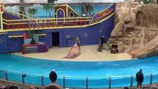 SeaWorld Orlando - Clyde and Seamore Take Pirate Island - Complete/Full video