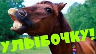 ПРИКОЛЫ 2017 МАРТ | Свежая Подборка Приколов #1