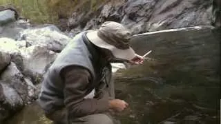 South Fork Stillaguamish River Fishing, Fly Fishing