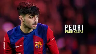 Pedri 2024 ● FREE CLIPS / NO WATERMARK ● FREE TO USE ● HD 1080