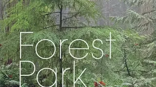 Local author talks new book 'Forest Park: Portland's Natural Sanctuary'